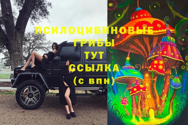 меф Нязепетровск