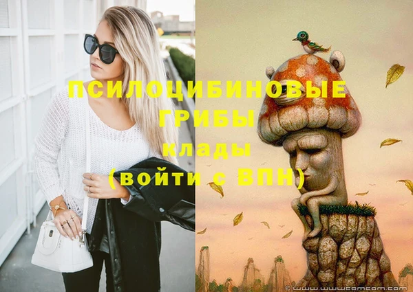 героин Алзамай