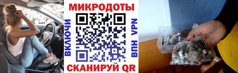Псилоцибиновые грибы Psilocybe  MEGA ССЫЛКА  Переславль-Залесский 
